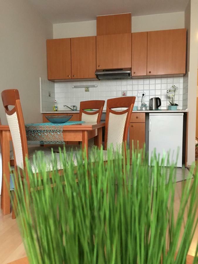 Orchidea Apartman Hegykő Exterior foto